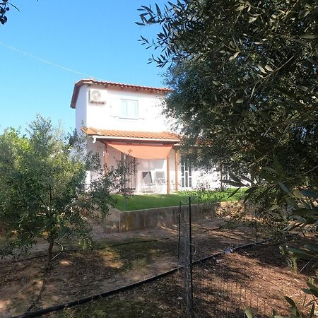 Spiti Ostria Villa Aigio Dış mekan fotoğraf