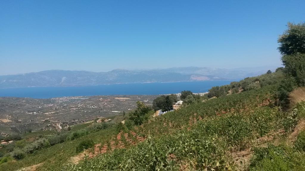 Spiti Ostria Villa Aigio Dış mekan fotoğraf
